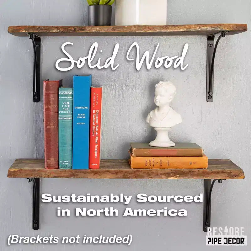 RESTORE Boulder Black 24 Zoll Holzregal mit natürlicher Baumkante (nur Holz) von Pipe Decor