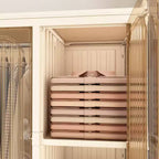 Whisen Kleiderschrank Organizer, Kommode, 9 Magnettüren – 9 Fächer & 1 Kleiderstange, 6 Kleiderbügel