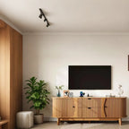 Schwarz/Braun Mid-Century TV-Schrank mit 2 Schubladen, für 1 Zimmer