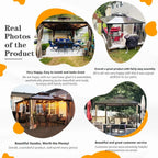 EROMMY Hardtop-Pavillon, Outdoor-Pergola mit Doppeldach & Netzen & Vorhängen, Hochleistungs-Canopy für Terrasse, Garten, Poolparty