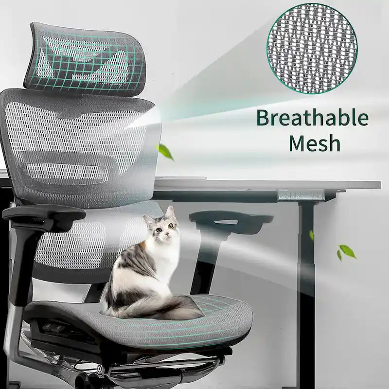 Blau / Weiß / Grau / Braun Hoher ergonomischer Bürostuhl mit Netzrücken und Seilzugsteuerung für 1 Person