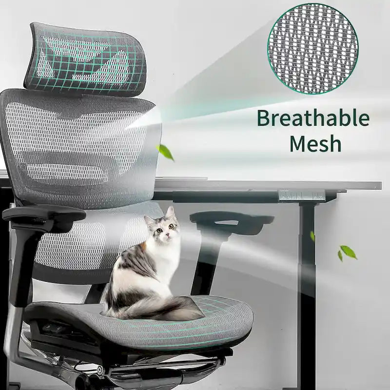 Blau / Weiß / Grau / Braun Hoher ergonomischer Bürostuhl mit Netzrücken und Seilzugsteuerung für 1 Person
