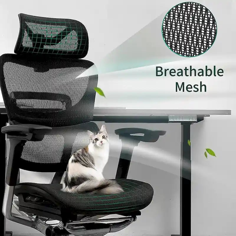 Blau / Weiß / Grau / Braun Hoher ergonomischer Bürostuhl mit Netzrücken und Seilzugsteuerung für 1 Person