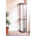 Dark Brown Glass Display Cabinet Stand for 1 Person, 16"W x 71"H