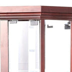 Dark Brown Glass Display Cabinet Stand for 1 Person, 16"W x 71"H