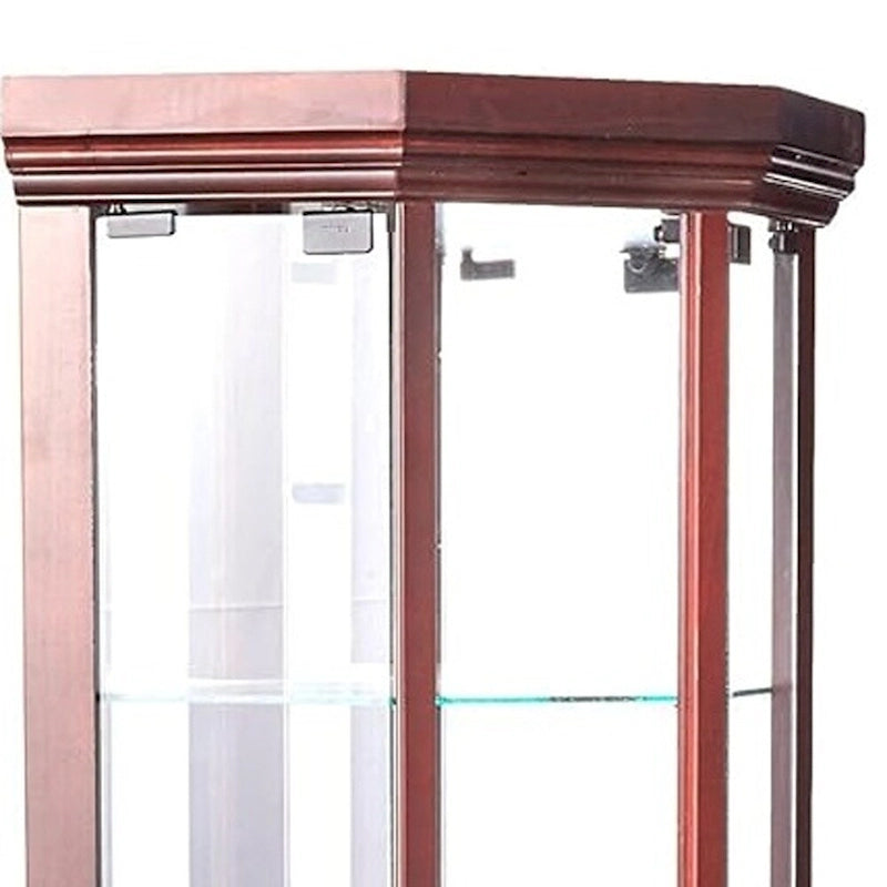 Dark Brown Glass Display Cabinet Stand for 1 Person, 16"W x 71"H