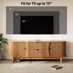 Schwarz/Braun Mid-Century TV-Schrank mit 2 Schubladen, für 1 Zimmer